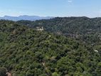 land for sale in digana