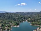 Land for sale in Digana