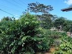 Land for Sale in Digana