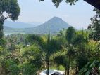 Land for Sale in Digana