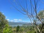 Land for Sale in Digana
