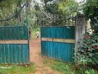 Land for sale in Digana Kandy