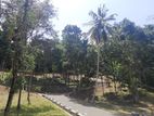 Land for Sale in Digana Malpana