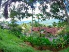 Land for Sale in Digana Victoria Golf Corse, Kandy
