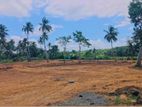 Land for sale in Dikwella