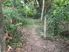 Land for Sale in Dimuthu Mawatha, Kalagedihena