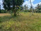 Land for sale in Diulapitiya / AJ 16014
