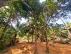 Land for Sale in Diulapitiya