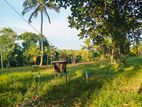 Land for Sale in Diulapitiya