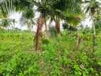 Land for Sale in Diulapitiya