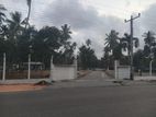 Land for Sale in Diulapitiya Mellawagedara Y 117