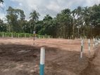 Land for Sale in Diulapitiya Mirigama Road Y259