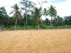 Land for Sale in Diulapitiya Negombo Road Y21