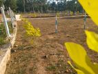 Land for Sale in Diulapitiya .T1