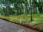 Land for Sale in Diulapitiya Walpita