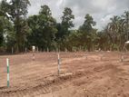 Land for Sale In Diulapitiya Y3