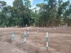 Land for Sale in Diulapitiya Y9