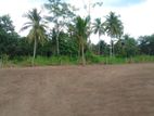 Land for Sale in Diulapitiya,T44