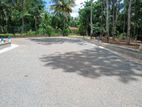 Land For Sale In Diuwlapitiya