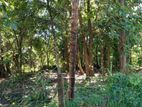 Land for Sale in Divulapitiya 31P