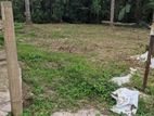 Land for Sale in Divulapitiya 32.5 P