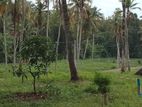 Land for Sale in Divulapitiya