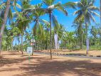 Land for Sale in Divulapitiya