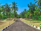 Land for Sale in Divulapitiya