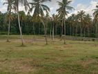 Land for sale in Divulapitiya