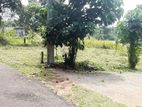 Land for Sale in Divulapitiya