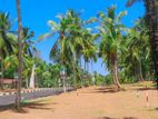 Land for Sale in Divulapitiya