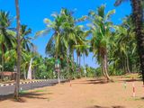 Land for Sale in Divulapitiya