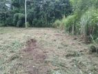 Land for Sale in Divulapitiya