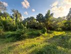Land for Sale in Divulapitiya