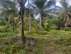 Land for Sale in Divulapitiya