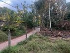 Land for Sale in Divulapitiya