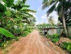 Land for sale in Divulapitiya
