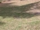 Land for Sale in Divulapitiya