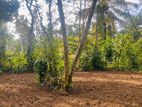 Land for Sale in Divulapitiya