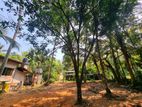 Land for sale in Divulapitiya