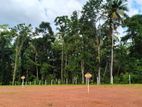 Land for Sale in Divulapitiya