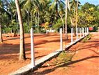 Land for Sale in Divulapitiya