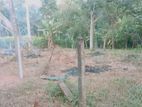 Land For Sale In Divulapitiya