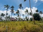 Land for Sale in Divulapitiya