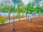 Land for Sale in Divulapitiya - S17