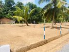 Land for sale in Divulapitiya -Z25