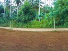 Land for Sale in Divulapitiya,T11