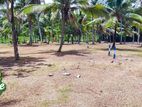 Land for Sale in Diwulapitiya