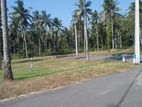 Land for Sale in Diwulapitiya