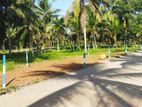 Land for Sale in Diwulapitiya